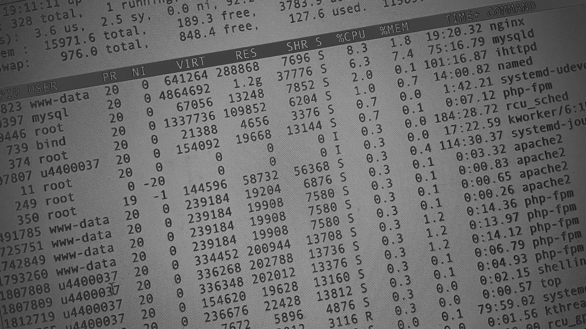 Настройка сервера в Свободном Настройка сервера в Свободном