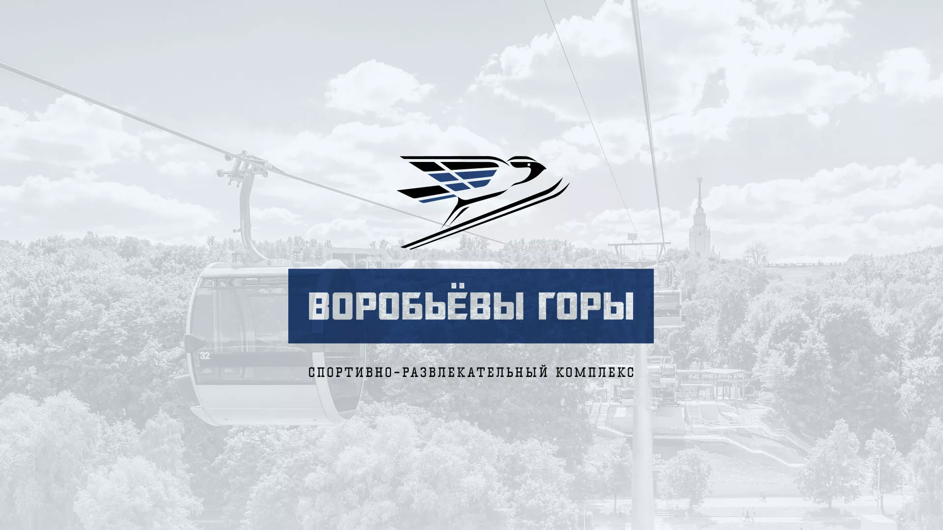 Разработка сайта в Свободном для спортивно-развлекательного комплекса «Воробьёвы горы»