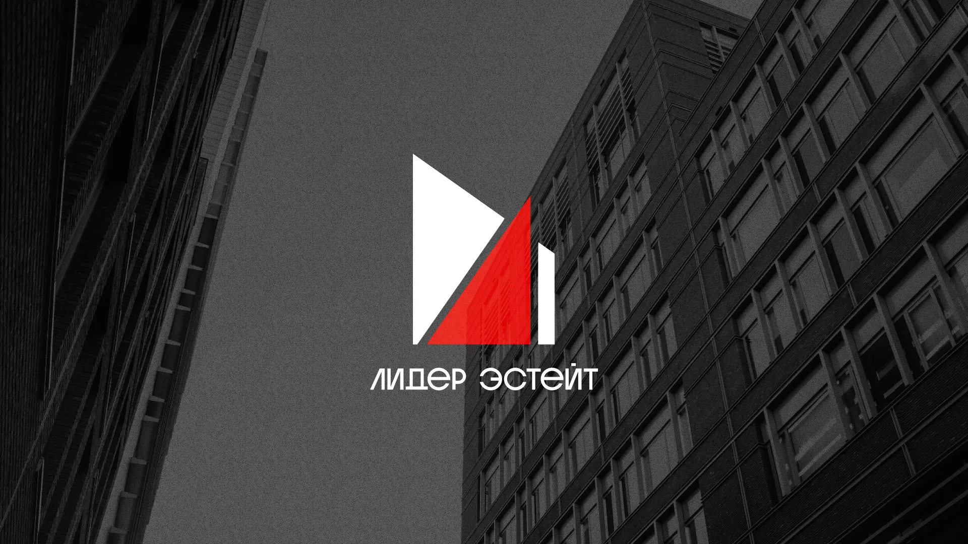 Сделали логотип для агентства недвижимости «Лидер Эстейт» в Свободном